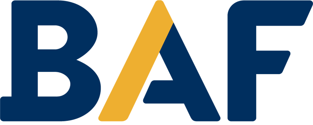 Bussan Auto Finance Bussan Auto Finance